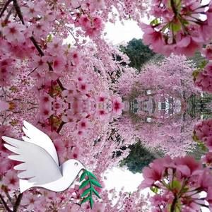 Meet your Posher, Cecilia